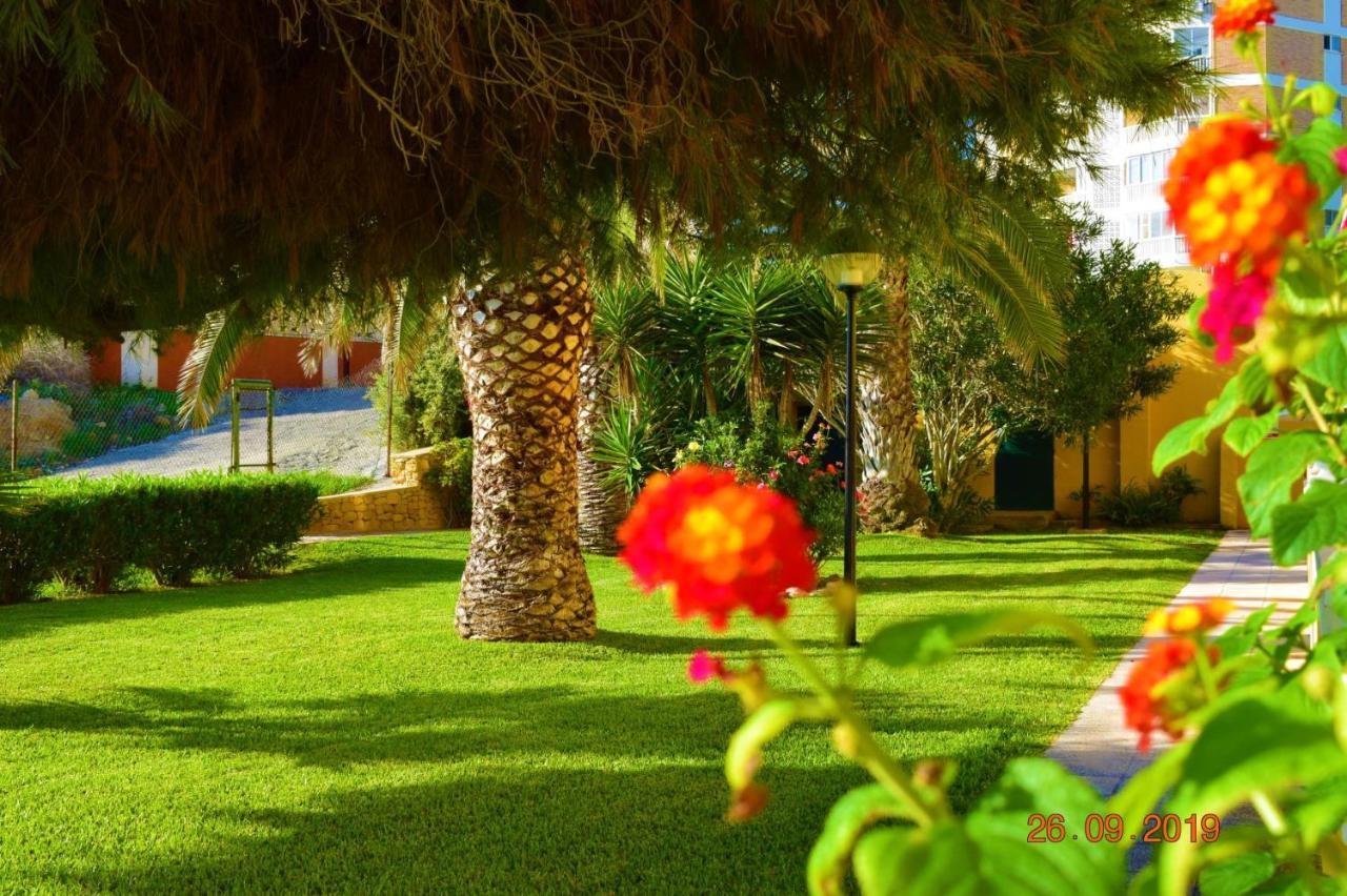 Bungalo En Primera Linea De La Playa El Campello Luaran gambar